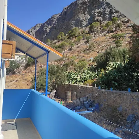 Katerina's Arginonta *