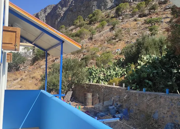 Katerina's Arginonta *